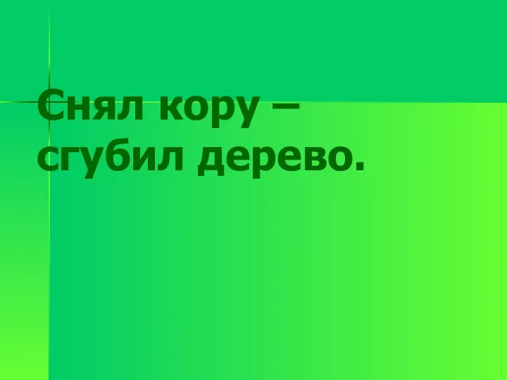 Снял кору – сгубил дерево.