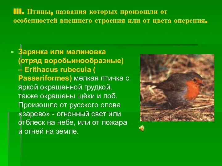 III. Птицы, названия которых произошли от особенностей внешнего строения или от