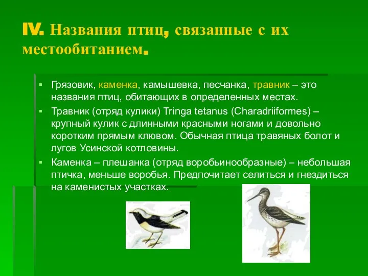 IV. Названия птиц, связанные с их местообитанием. Грязовик, каменка, камышевка, песчанка,