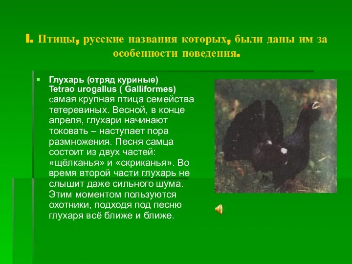 I. Птицы, русские названия которых, были даны им за особенности поведения.