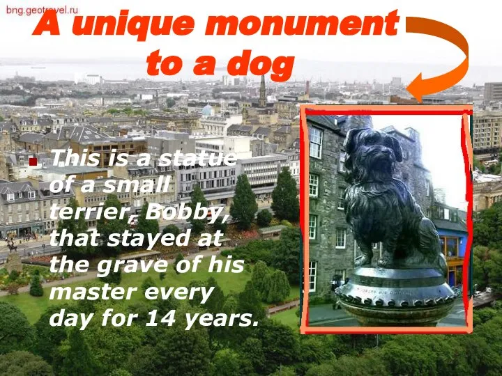 A unique monument to a dog. A unique monument to a