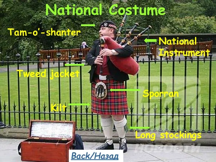 National Instrument Kilt Tweed jacket Sporran Long stockings National Costume Tam-o’-shanter Back/Назад