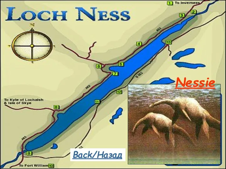 Nessie Back/Назад