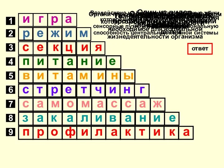 1 Основной и любимый вид деятельности детей ответ 2 Распорядок дел,