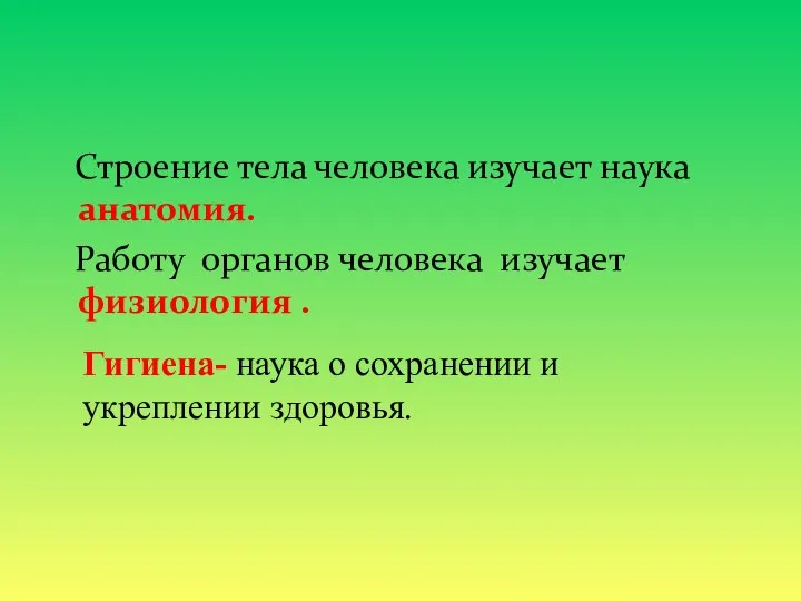 Строение тела человека изучает наука анатомия. Работу органов человека изучает физиология