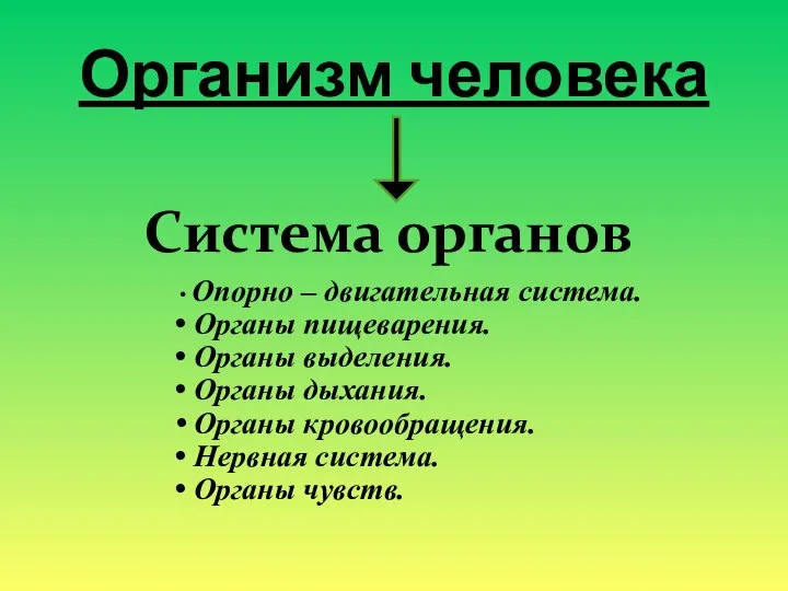 Организм человека Система органов Опорно – двигательная система. Органы пищеварения. Органы