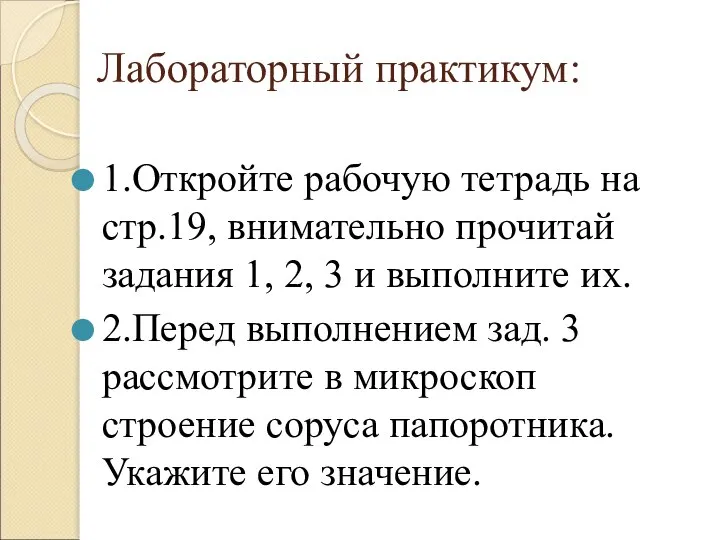 Лабораторный практикум: 1.Откройте рабочую тетрадь на стр.19, внимательно прочитай задания 1,