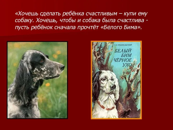 «Хочешь сделать ребёнка счастливым – купи ему собаку. Хочешь, чтобы и