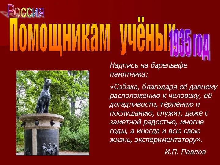 Надпись на барельефе памятника: «Собака, благодаря её давнему расположению к человеку,