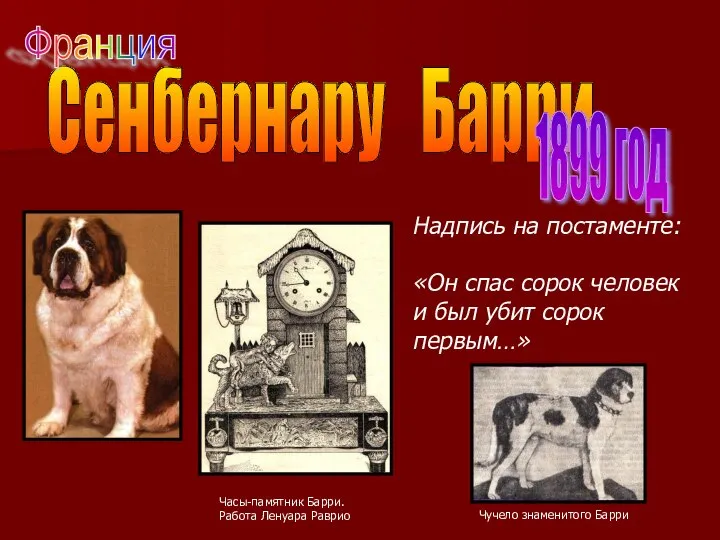 Сенбернару Барри 1899 год Надпись на постаменте: «Он спас сорок человек