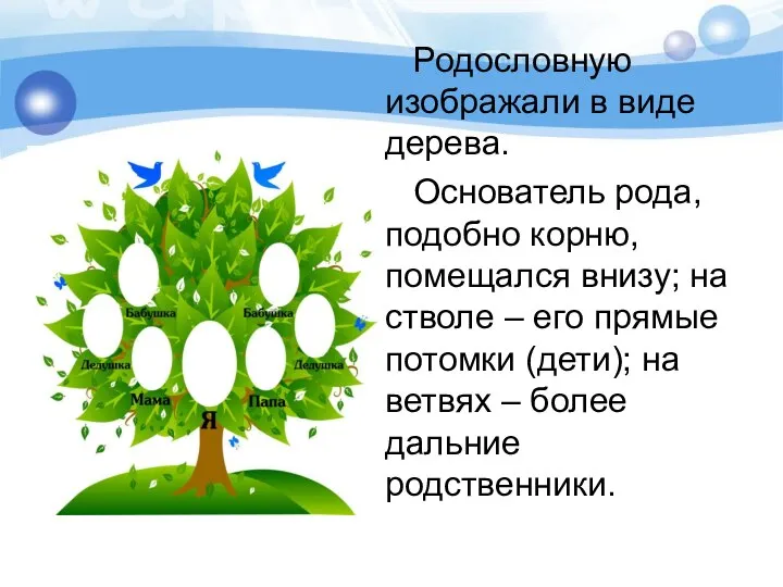 Родословную изображали в виде дерева. Основатель рода, подобно корню, помещался внизу;