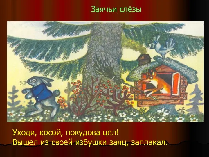 Уходи, косой, покудова цел! Вышел из своей избушки заяц, заплакал. Заячьи слёзы