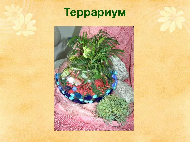 Террариум