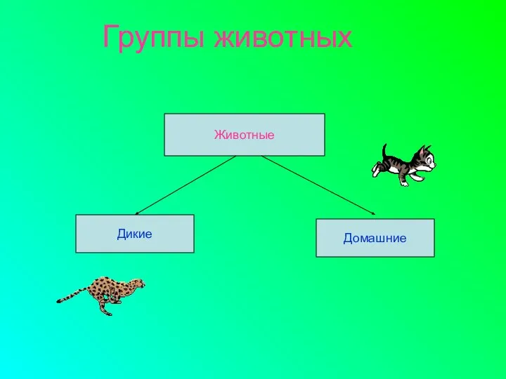 Группы животных Животные Дикие Домашние