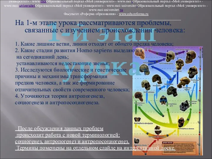 1-й этап урока На 1-м этапе урока рассматриваются проблемы, связанные с