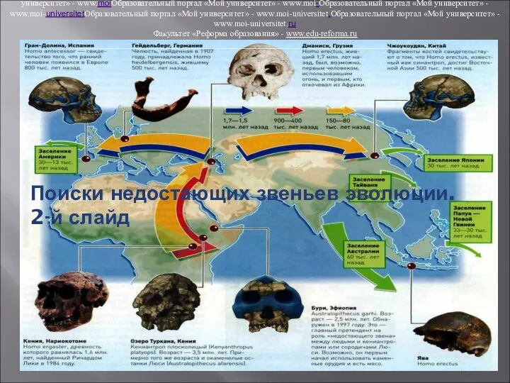 Поиски недостающих звеньев эволюции. 2-й слайд Образовательный портал «Мой университет» -