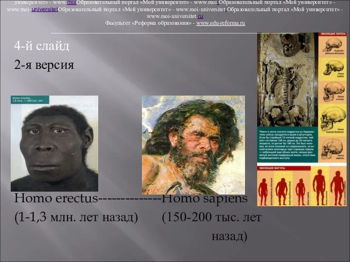 4-й слайд 2-я версия Homo erectus--------------Homo sapiens (1-1,3 млн. лет назад)