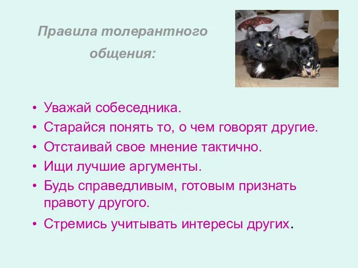 Правила толерантного общения: Уважай собеседника. Старайся понять то, о чем говорят