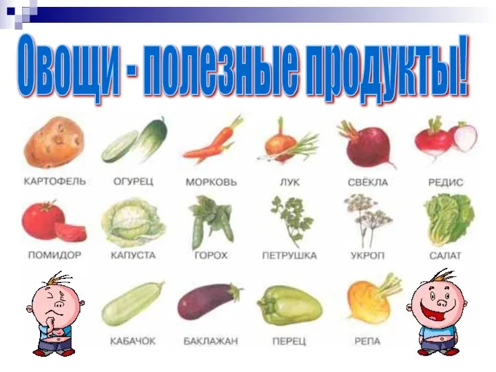 Овощи - полезные продукты!