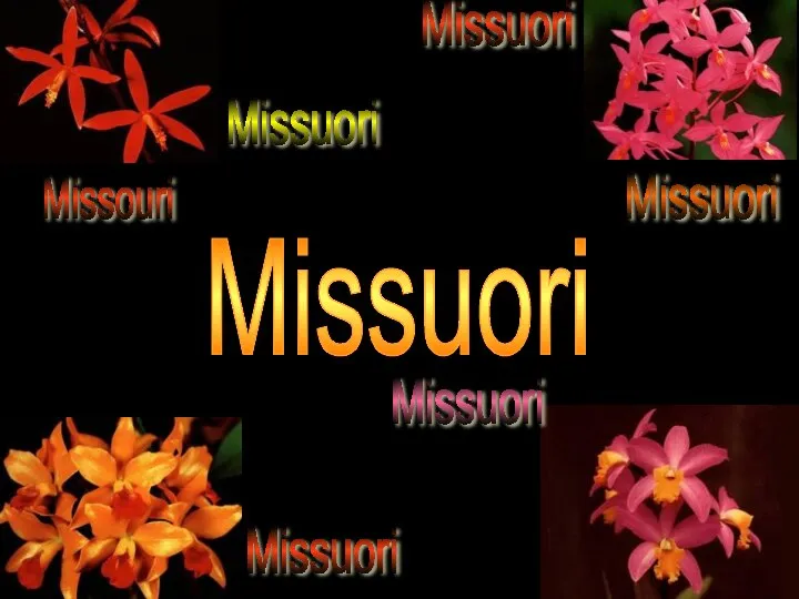 Missouri Missuori Missuori Missuori Missuori Missuori Missuori