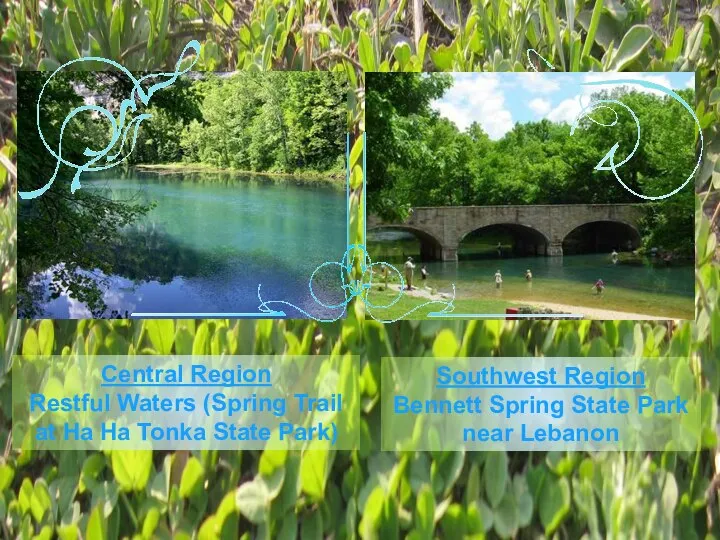 Central Region Restful Waters (Spring Trail at Ha Ha Tonka State