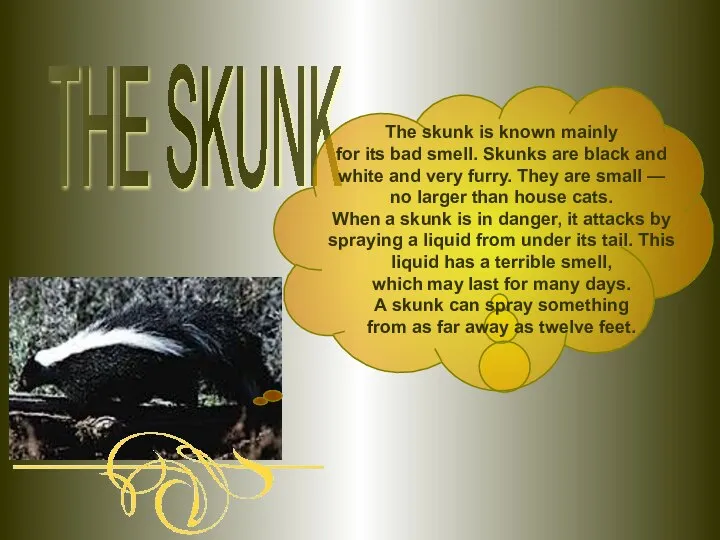 THE SKUNK