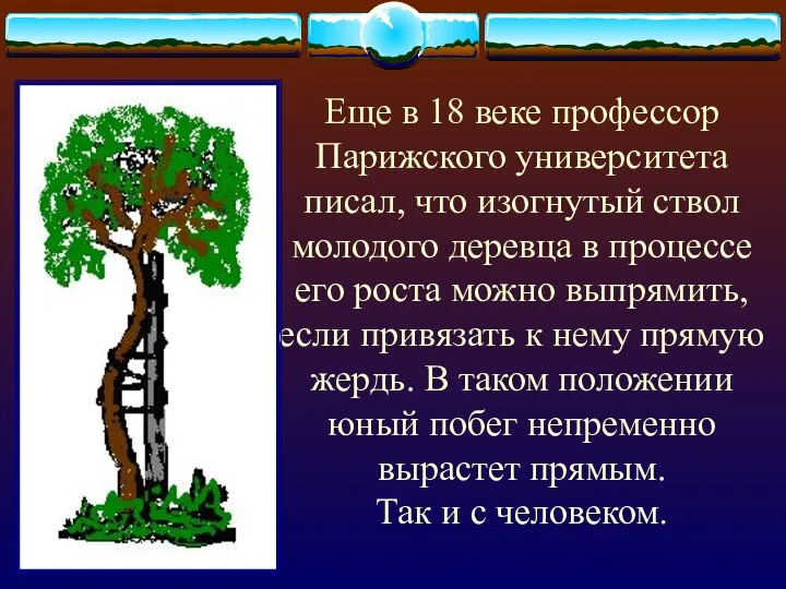 Еще в 18 веке профессор Парижского университета писал, что изогнутый ствол