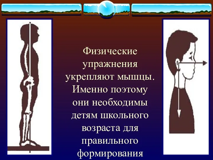 Физические упражнения укрепляют мышцы. Именно поэтому они необходимы детям школьного возраста для правильного формирования осанки.