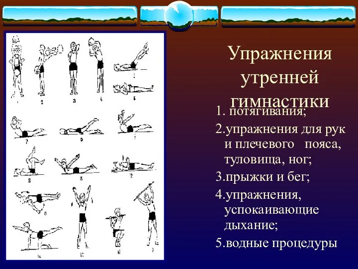 Упражнения утренней гимнастики 1. потягивания; 2.упражнения для рук и плечевого пояса,