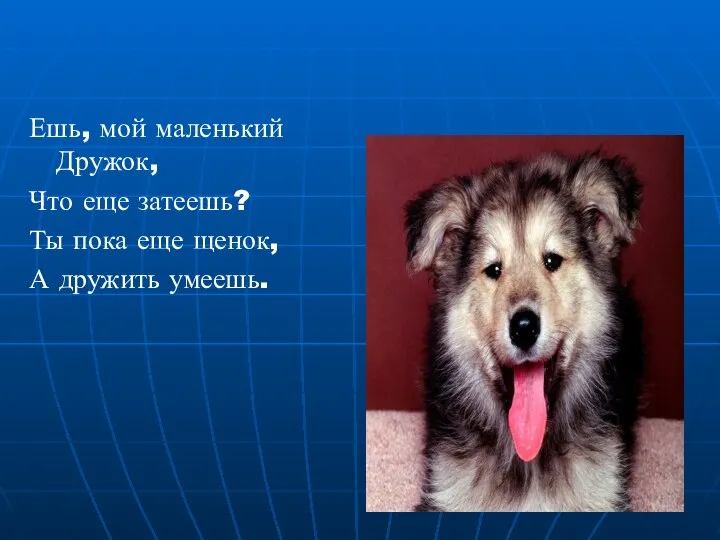 Ешь, мой маленький Дружок, Что еще затеешь? Ты пока еще щенок, А дружить умеешь.