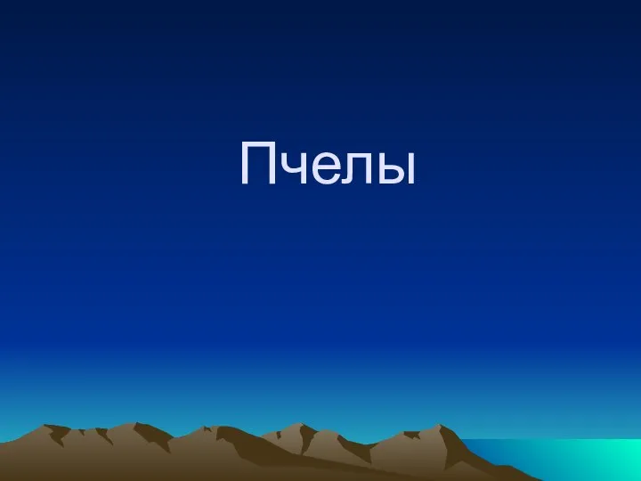 Пчелы