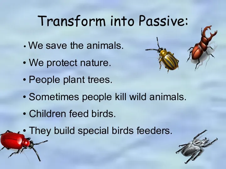 Transform into Passive: We save the animals. We protect nature. People