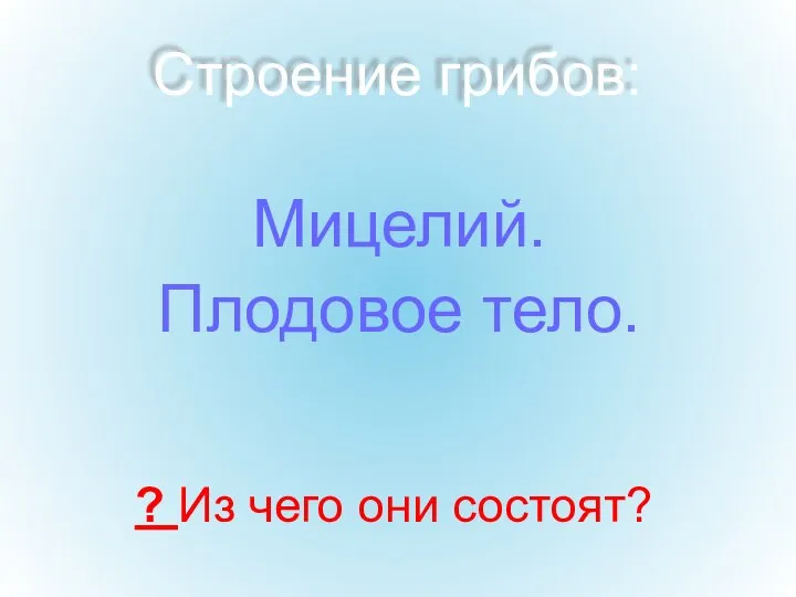 Строение грибов: Мицелий. Плодовое тело. ? Из чего они состоят?