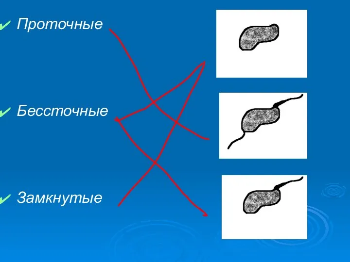 Проточные Бессточные Замкнутые