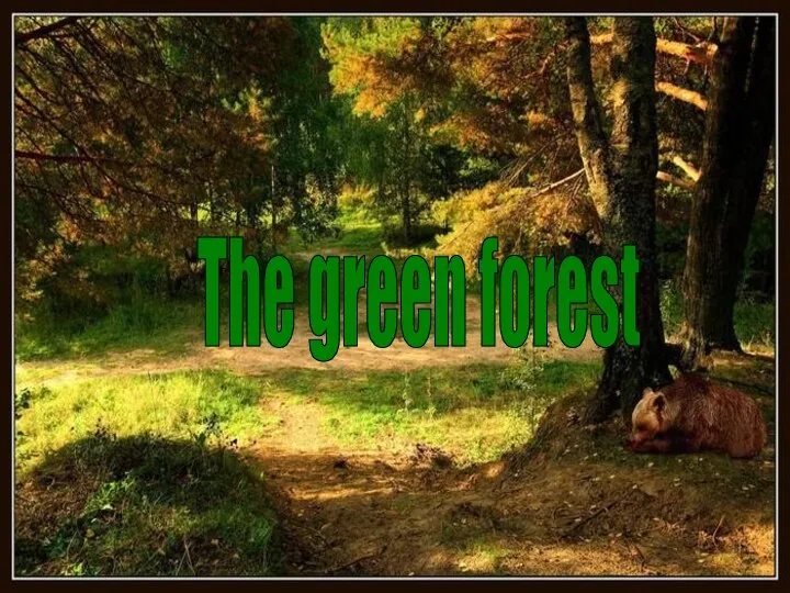 The green forest