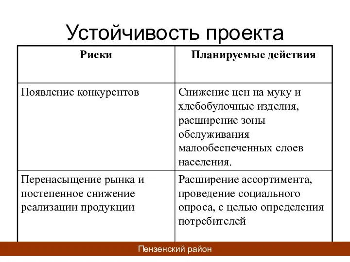 Устойчивость проекта Пензенский район