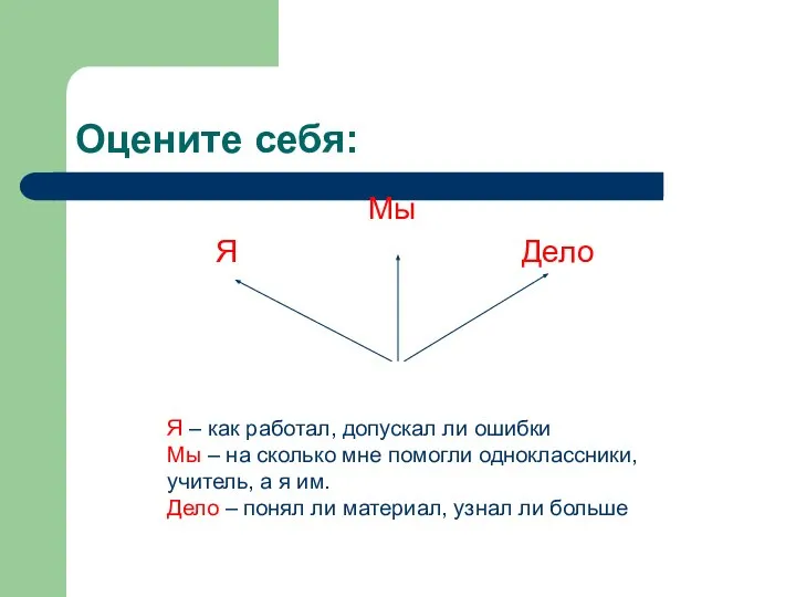 Оцените себя: Мы Я Дело Я – как работал, допускал ли