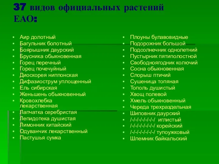 37 видов официальных растений ЕАО: Аир долотный Багульник болотный Боярышник даурский