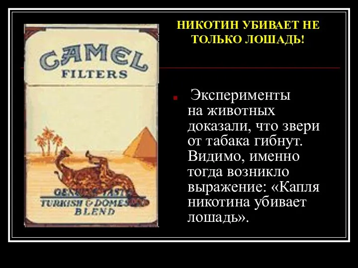 Эксперименты на животных доказали, что звери от табака гибнут. Видимо, именно