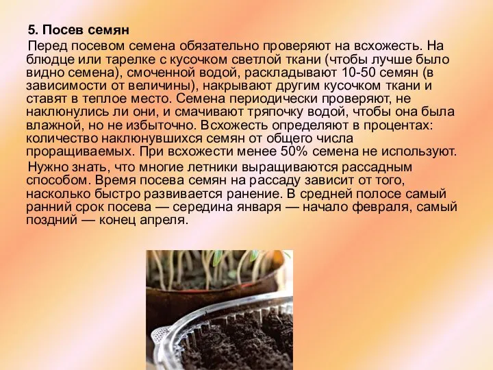 5. Посев семян Перед посевом семена обязательно проверяют на всхожесть. На