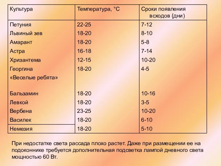 При недостатке света рассада плохо растет. Даже при размещении ее на