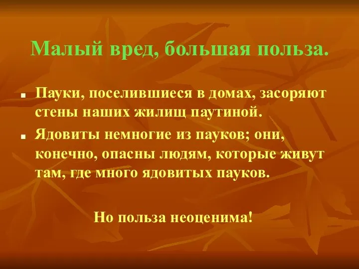 Малый вред, большая польза. Пауки, поселившиеся в домах, засоряют стены наших