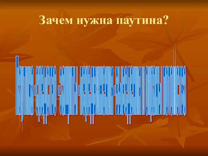 Зачем нужна паутина? Паутина -средство -защиты -передвижения -выведения и охраны потомства