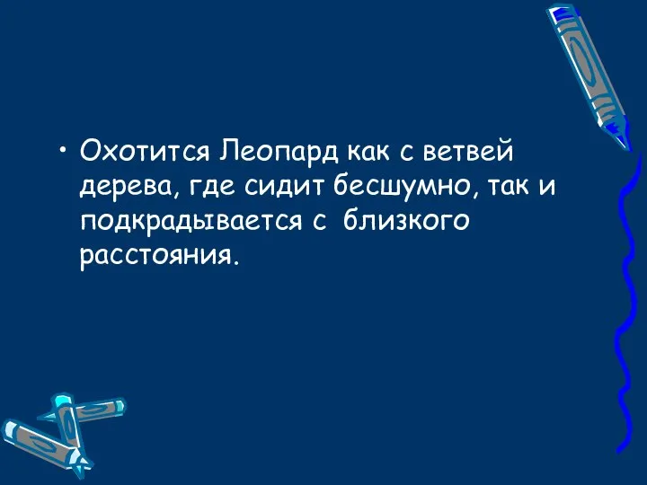 Охотится Леопард как с ветвей дерева, где сидит бесшумно, так и подкрадывается с близкого расстояния.