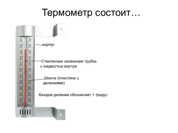 Термометр состоит… корпус Шкала (пластина с делениями) Стеклянная запаянная трубка с