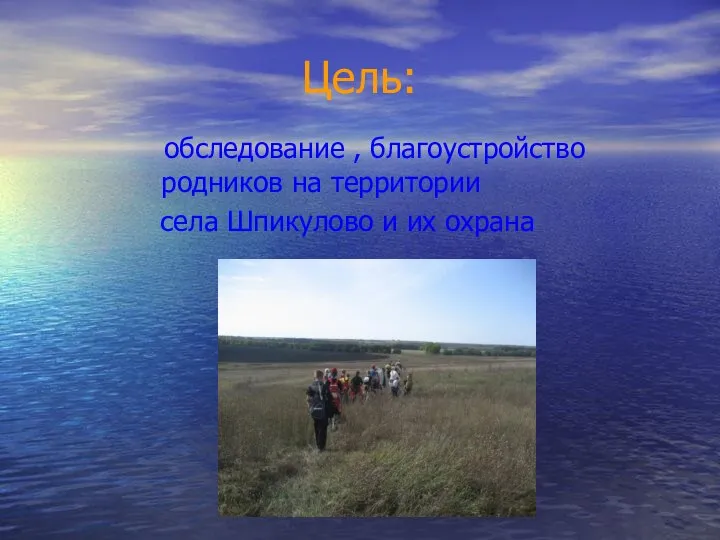 Цель: обследование , благоустройство родников на территории села Шпикулово и их охрана