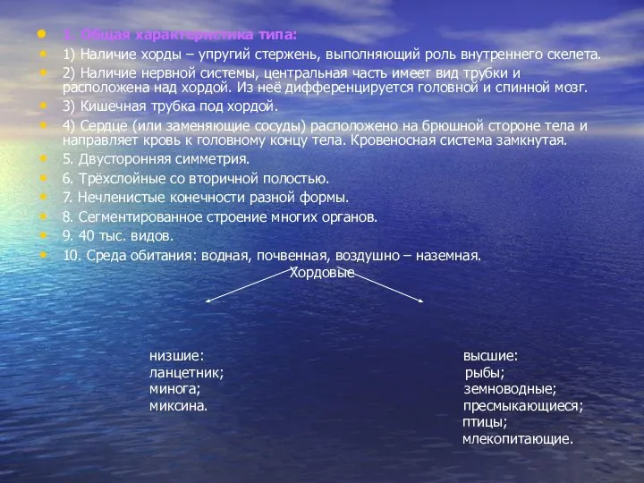 1. Общая характеристика типа: 1) Наличие хорды – упругий стержень, выполняющий