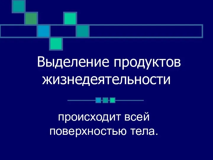 Выделение продуктов жизнедеятельности происходит всей поверхностью тела.