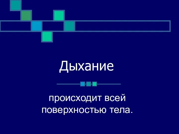 Дыхание происходит всей поверхностью тела.