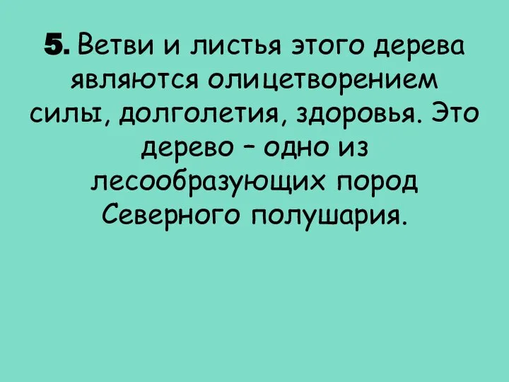 5. Ветви и листья этого дерева являются олицетворением силы, долголетия, здоровья.